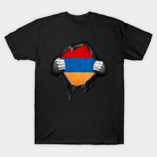 Armenia Flag Armenian Roots DNA Pride Gift T-Shirt